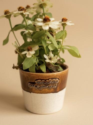 اصيص "طينٌ أنا"