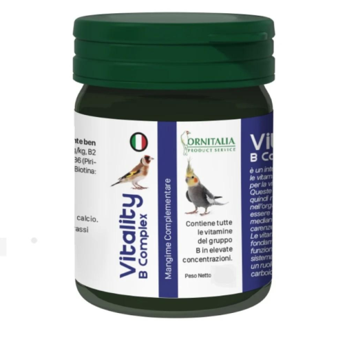 VITALITY B COMPLEX B vitamins complex group