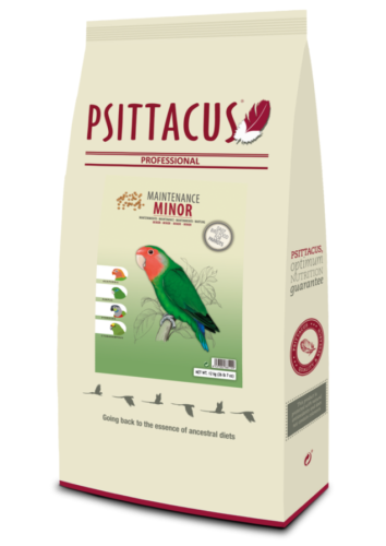 MINOR PSITTACUS سيتاكوس غذاء الروز والطيور المتوسط...