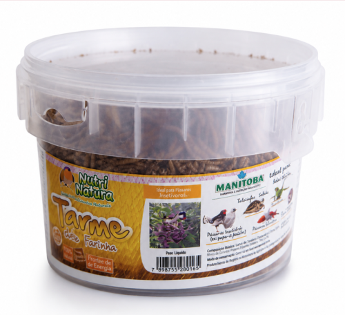 يرقات الدودة الصفراء من مانيتوبا Manitoba – Nutri Natura | Tarme della Farina