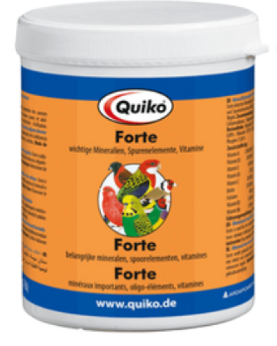 Forte from Quico