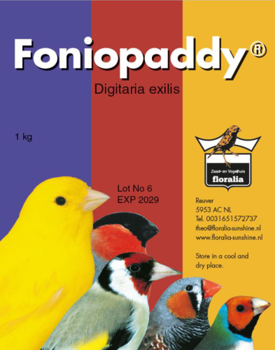 Floralia Fonio Paddy – Floralia Fonio Paddy natura...