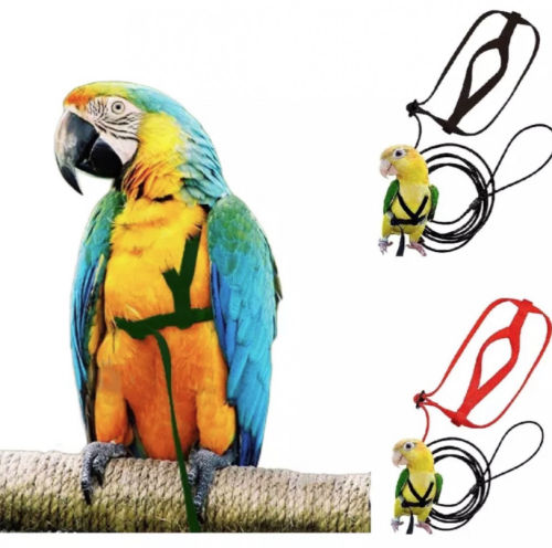 سلسلة ببغاء هارنس مشد هارنيس طوق طيور الزينة Parrot Harness - احجام متعددة