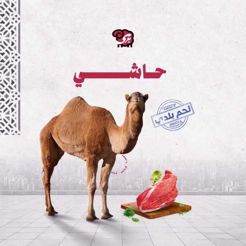 حاشي بلدي - أوزان مختلفة