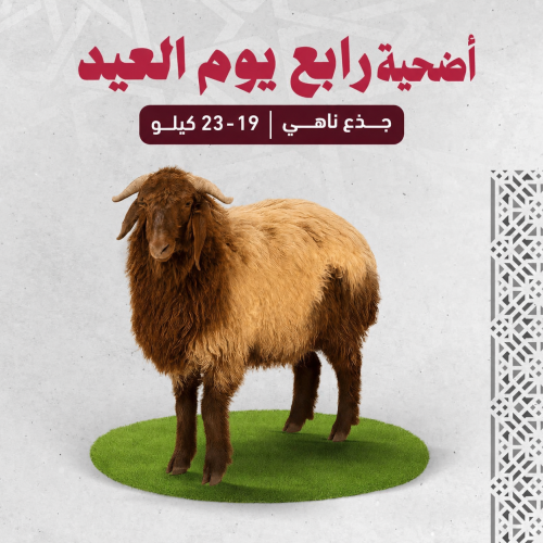 اضحية نعيمي بلدي (19-23 كجم) - رابع يوم العيد