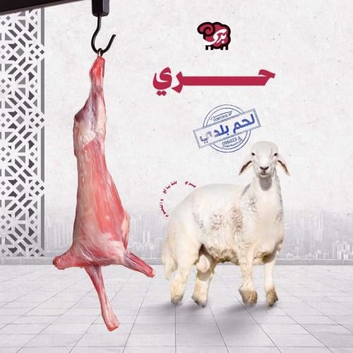 حري بلدي ناهي 19-23 كيلو
