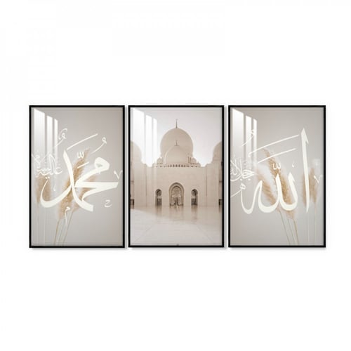 ثلاث لوحات جدارية مع برواز واكريلك شفاف
