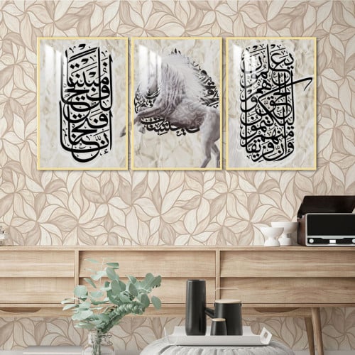 ثلاث لوحات جدارية مع برواز واكريلك شفاف