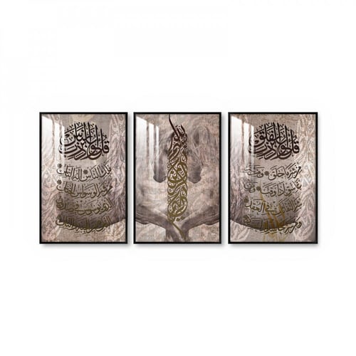 ثلاث لوحات جدارية مع برواز واكريلك شفاف
