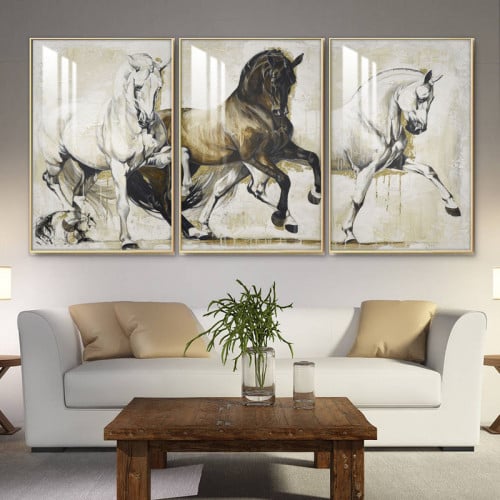 ثلاث لوحات جدارية مع برواز واكريلك شفاف