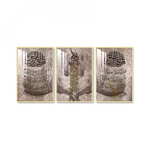 ثلاث لوحات جدارية مع برواز واكريلك شفاف