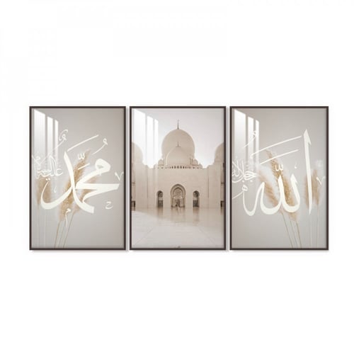 ثلاث لوحات جدارية مع برواز واكريلك شفاف