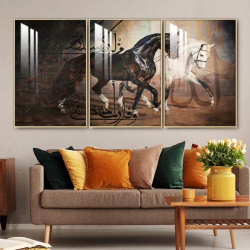 ثلاث لوحات جدارية مع برواز واكريلك شفاف