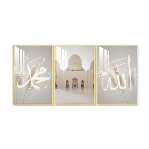 ثلاث لوحات جدارية مع برواز واكريلك شفاف