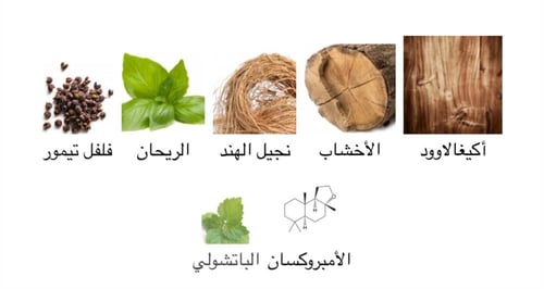 خيالي My Imagination