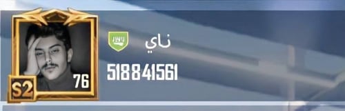 شعبيه قبله طائره