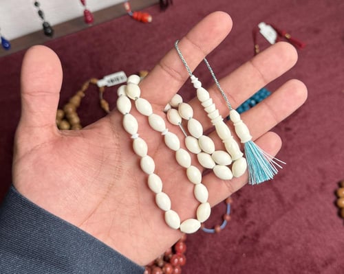 عظم جمل تمليكه