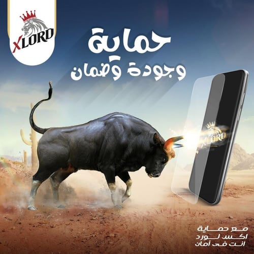 بكج اكس لورد الحماية الاساسية