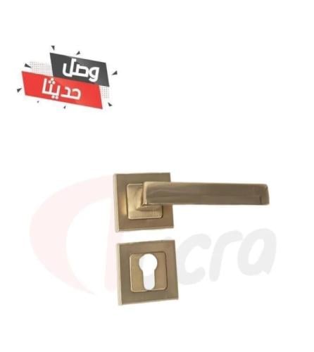 يد باب مفصول ذهبي 30000021-2