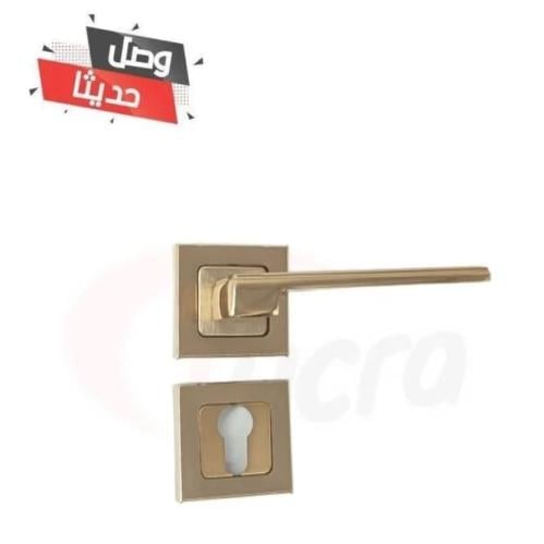 يد باب مفصول ذهبي 30000020-2