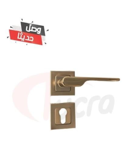 يد باب مفصول ذهبي 30000023-2