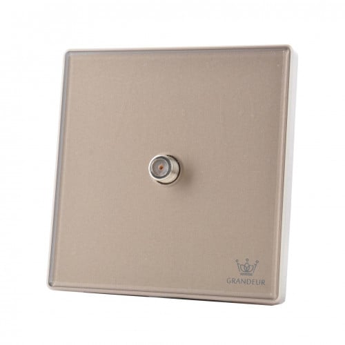 فيش دش شامبين V90