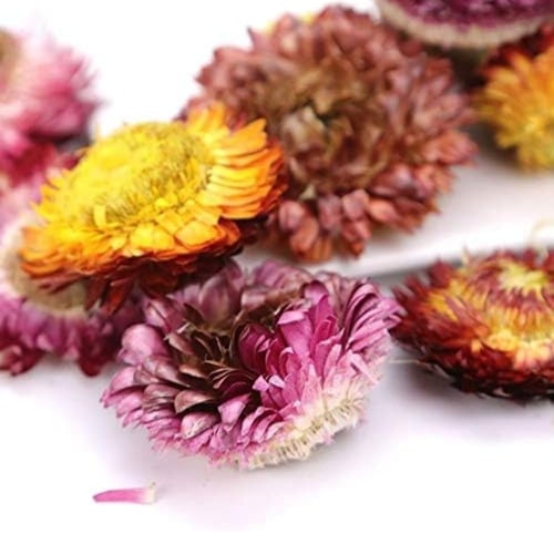 ورد مجفف مشكل 20 غرام