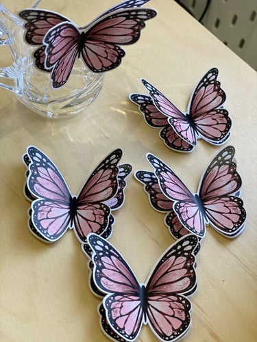 فراشات اكواب