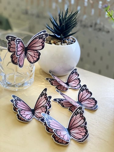 فراشات اكواب