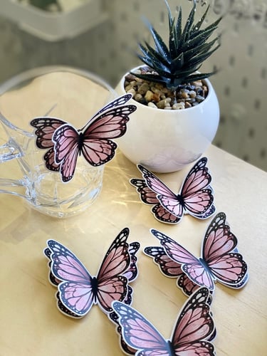 فراشات اكواب