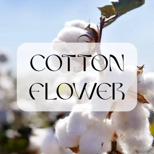 ليفة من القطن والكتان