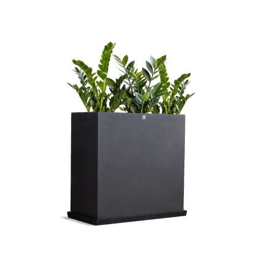 Black rectangular poly parking lot