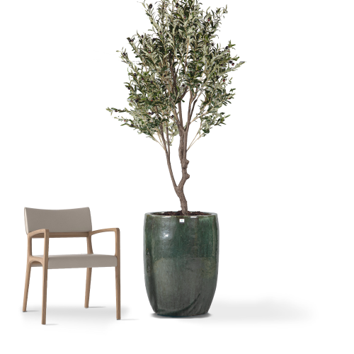 مراكن سيراميك أخضر زيتي 5471