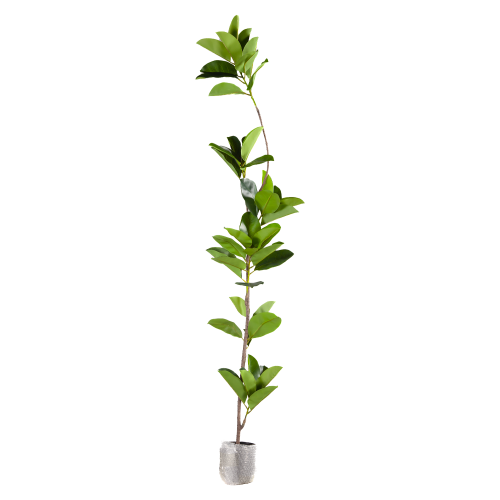 شجر Ficus صناعي 200 سم 9065