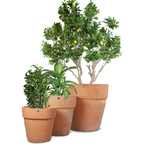 6373 مركن تراكوتا دائرى احمر