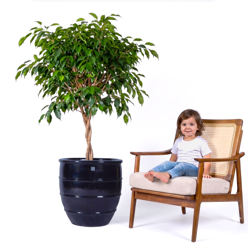 مركن سيراميك كبير أسود 5780