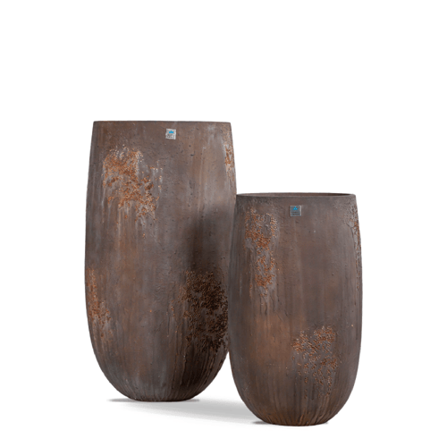 مركن بولى بنى طولى منقط