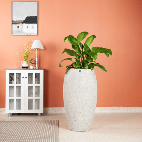 مراكن سيراميك 5434