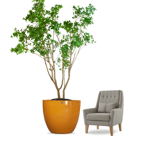 9075 شجرة بيريس صناعى ارتفاع 290 سم