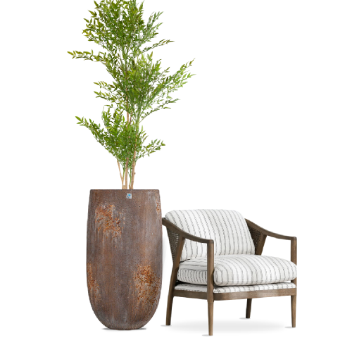 مركن بولى بنى طولى منقط