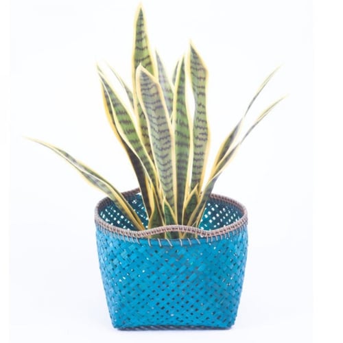 سلة خوص فيروزي