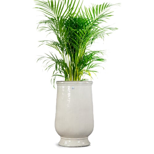 مراكن سراميك سكري فاتج 5458