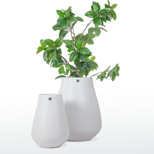 مركن بولي كمثرى موديل 1-5399