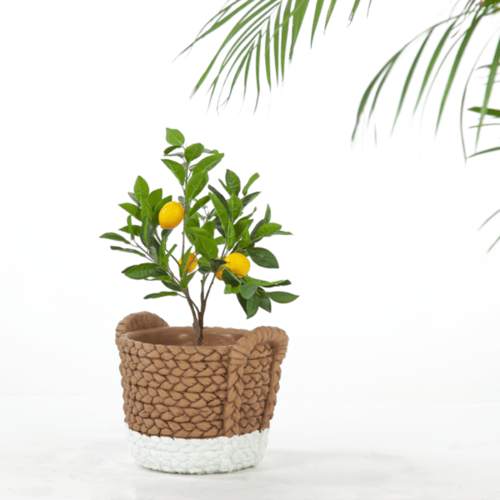 حوض سيراميك ديكور الخوص 6745