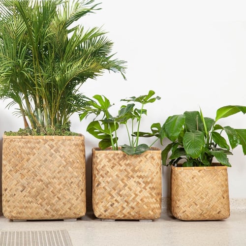 مراكن خوص طبيعي موديل كوبي