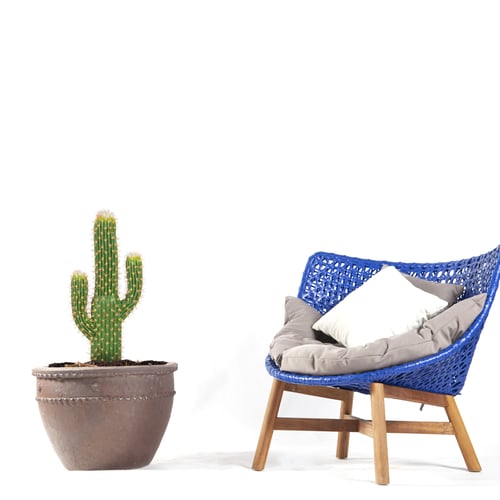 شجرة صبار بونساي الصناعي