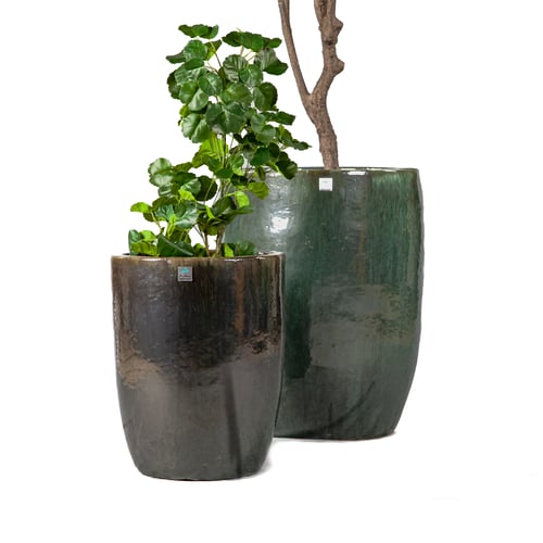 مراكن سيراميك أخضر زيتي 5471