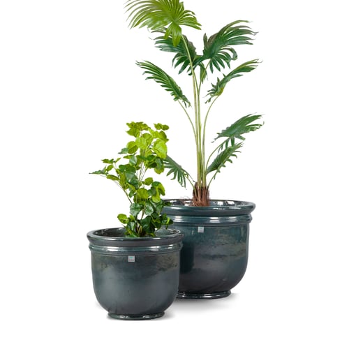 مراكن سيراميك اخضر غامق 5468