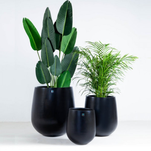 مراكن بولي موديل 6029