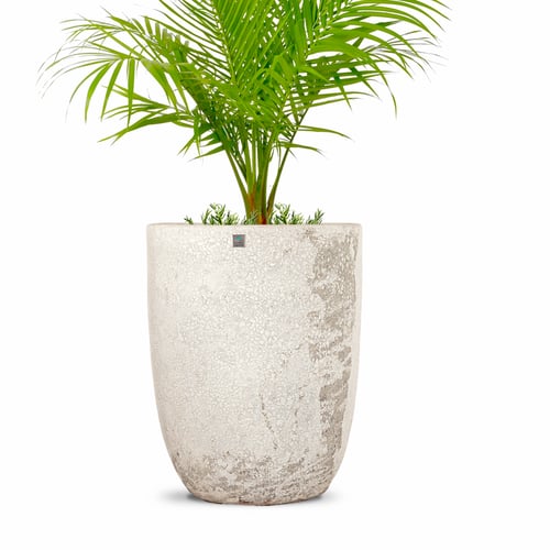 مركن سيراميك 5738